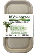 Broccoli