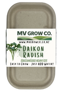 Daikon Radish
