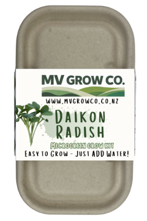 Daikon Radish