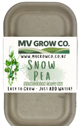 Snow Pea